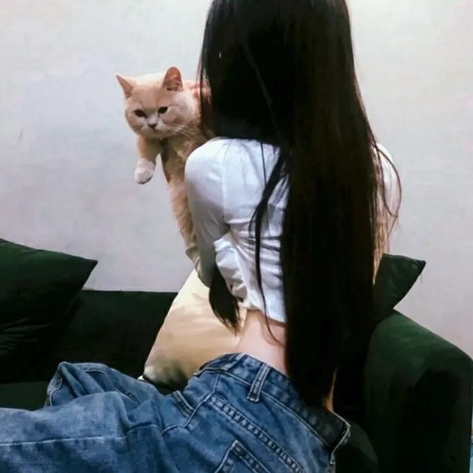 王者再临